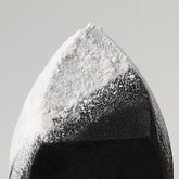 Mary Kay® Complexion Sponge